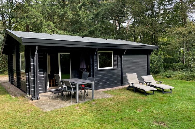 Vakantiehuisje in Hengelo omgeven door groene natuur in de Achterhoek, Gelderland.
