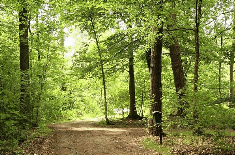 Vakantiehuisje in Hengelo