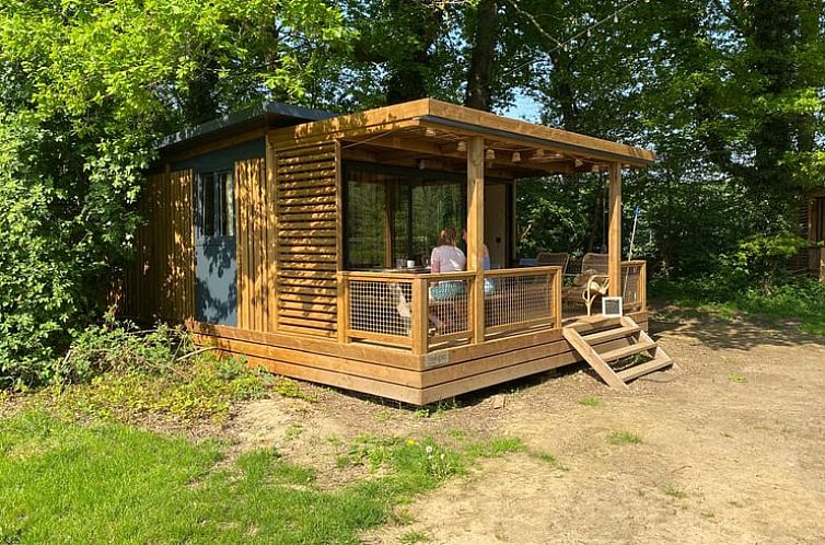 Gezellige veranda van Vakantiehuis in Hengelo, Gelderland, omringd door groen.