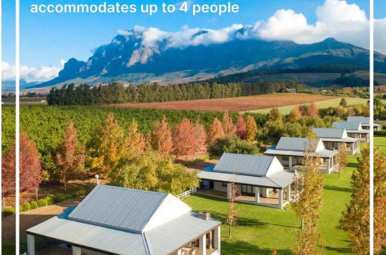Verblijf 2927213 - Vakantiewoning West-Kaap - Paddabult Self Catering Cottages
