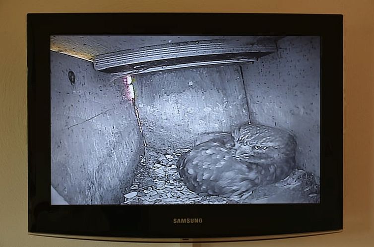 Vakantiehuis in Wichmond