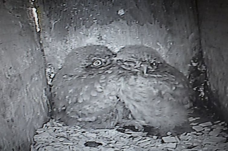 Vakantiehuis in Wichmond