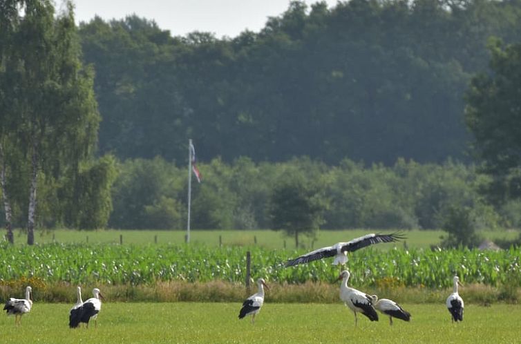 Vakantiehuis in Wichmond