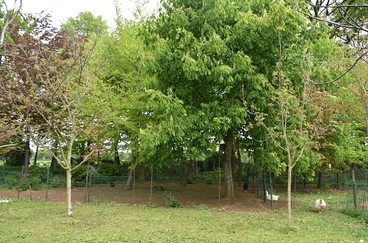 Vakantiehuis in Wichmond