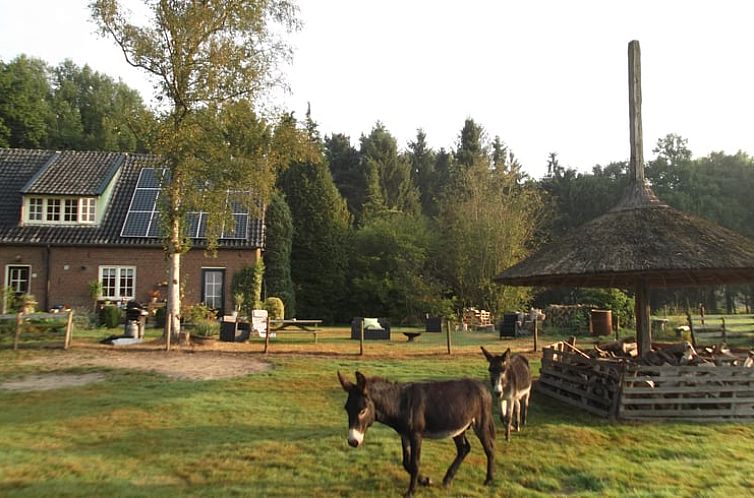 Vakantiehuis in Wichmond