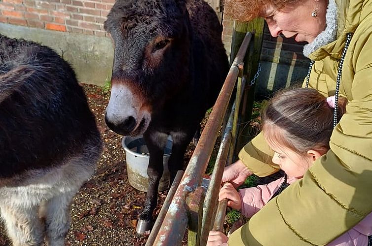 Vakantiehuis in Wichmond
