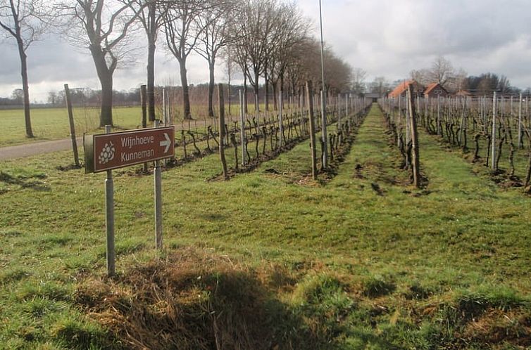 Vakantiehuisje in Geesteren