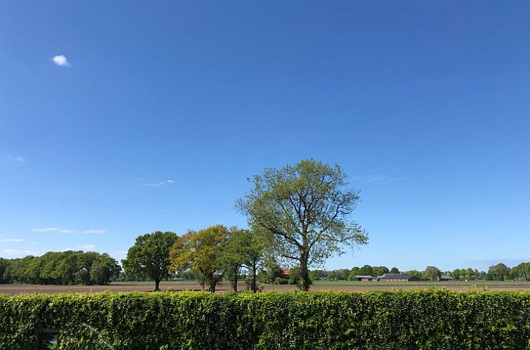 Vakantiehuisje in Doetinchem