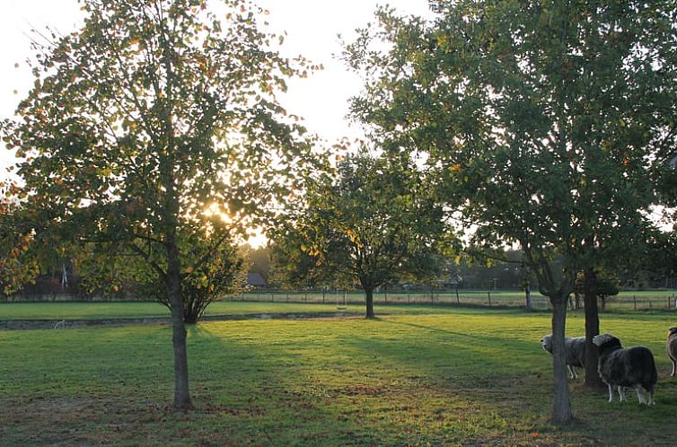 Vakantiehuis in Gorssel