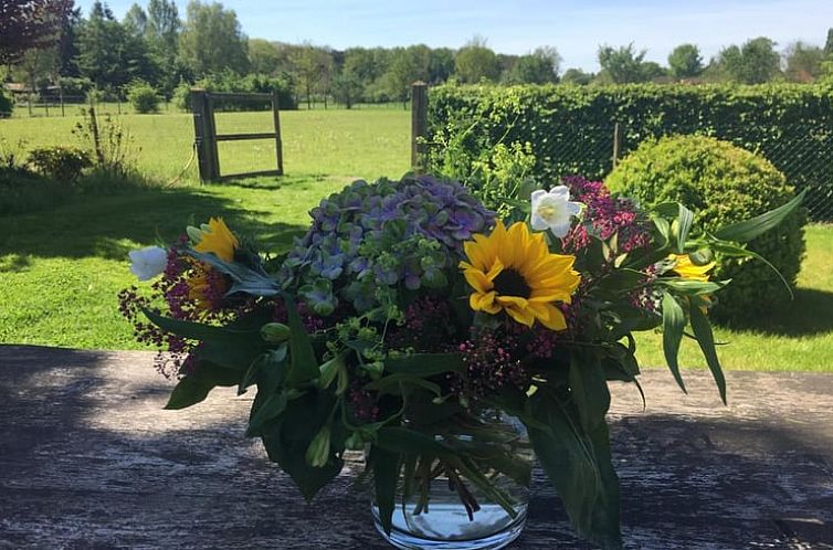 Vakantiehuis in Gorssel