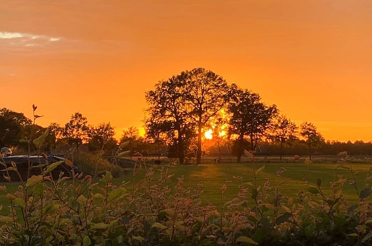 Vakantiehuisje in Winterswijk Miste