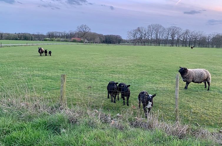 Vakantiehuisje in Winterswijk Miste