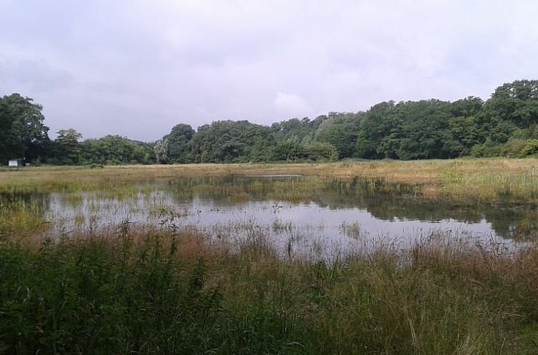 Vakantiehuis in Winterswijk Brinkheurne