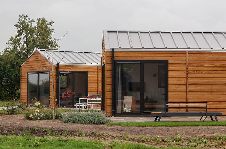 Wellness Lodge 2 in Olburgen, Achterhoek, Gelderland, with modern terrace and natural surroundings, ideal for a relaxing vacation.