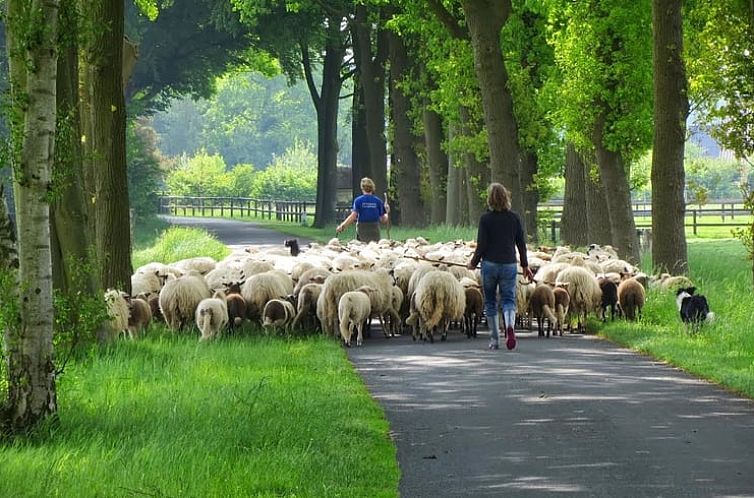 Vakantiehuisje in Warnsveld