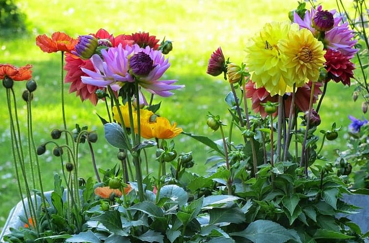 Vakantiehuisje in Warnsveld