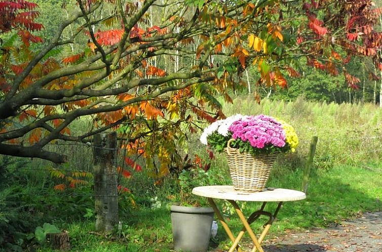 Vakantiehuisje in Warnsveld