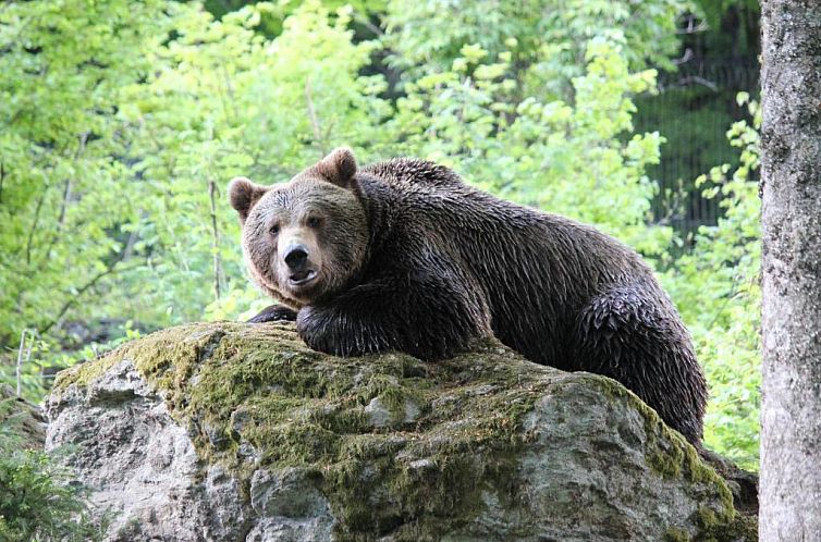 Hotel Dreisonnenberg