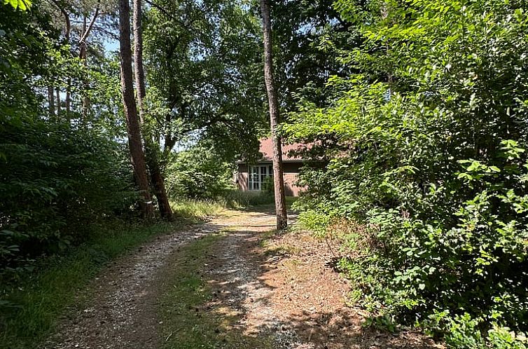 Vakantiehuis in Joppe