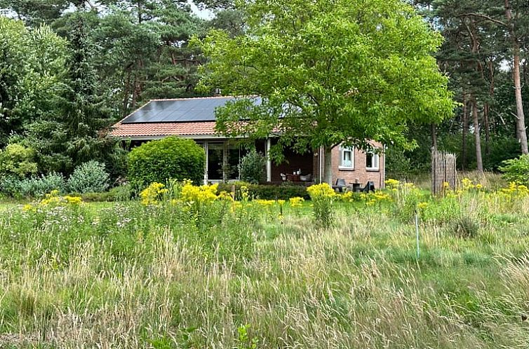 Vakantiehuis in Joppe