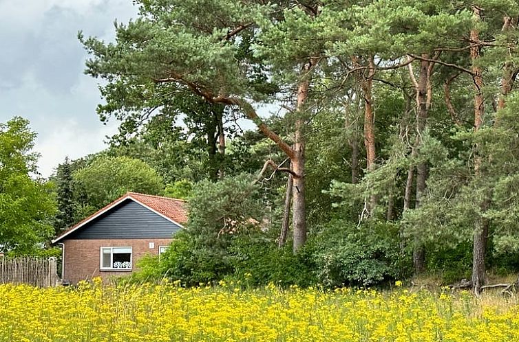 Vakantiehuis in Joppe