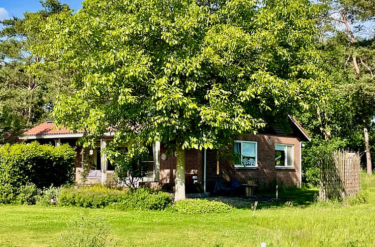 Vakantiehuis in Joppe