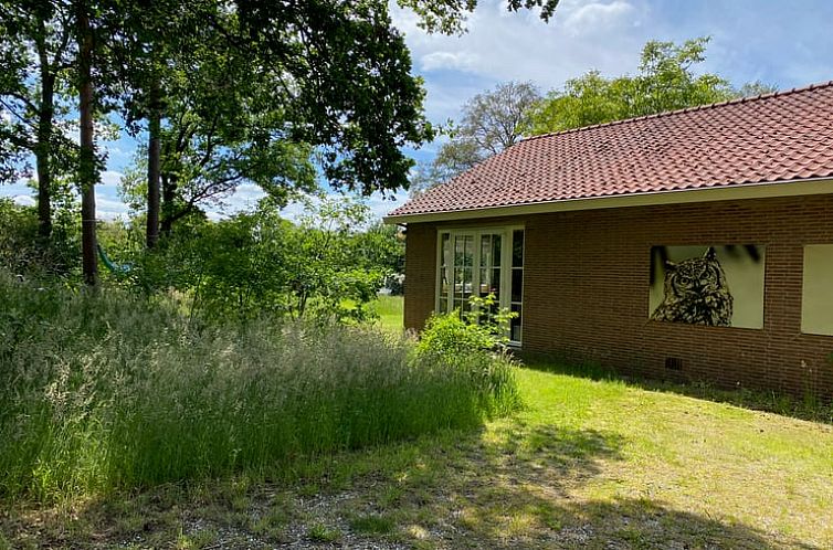 Vakantiehuis in Joppe