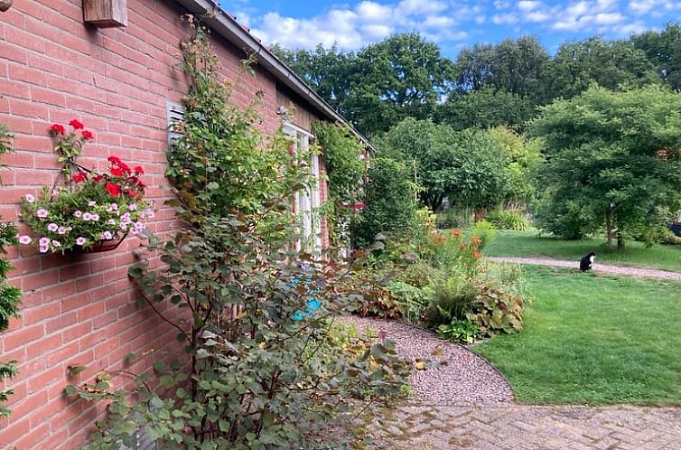 Buitenkant van Vakantiehuis in Varssel, Hengelo gld, omgeven door groene natuur in de Achterhoek, Gelderland.