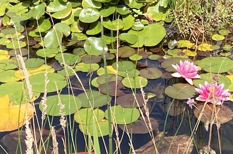 Vakantiehuis in Varssel, Hengelo gld