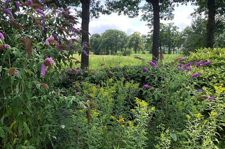 Vakantiehuis in Varssel, Hengelo gld