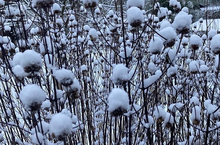 Vakantiehuis in Varssel, Hengelo gld