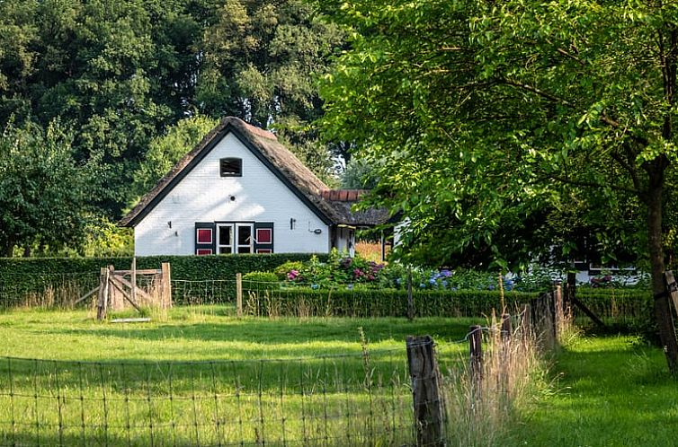 Vacation home in Empe surrounded by green nature in Gelderse Valley, Gelderland. Rustic vacation home with rural charm.