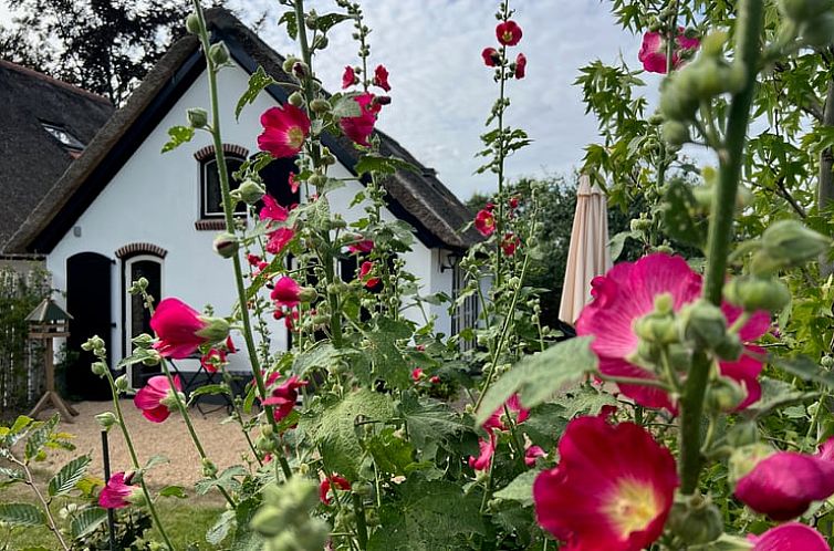 Vakantiehuis in Empe