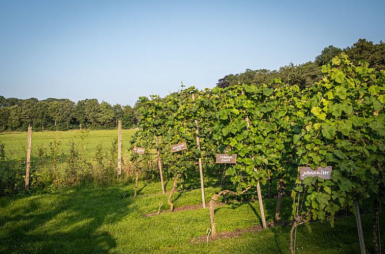 Vakantiehuis in Empe