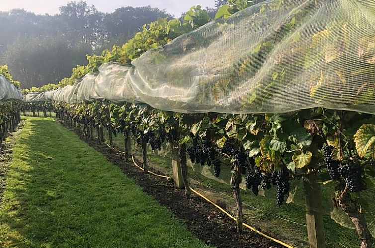 Vakantiehuis in Empe