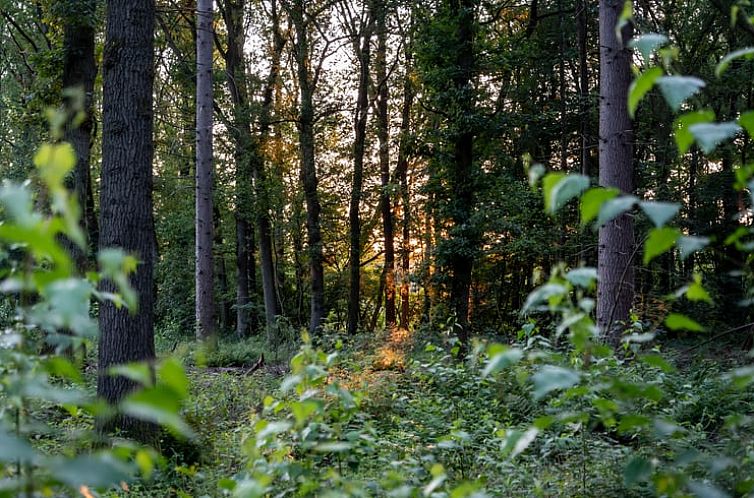 Vakantiehuis in Empe