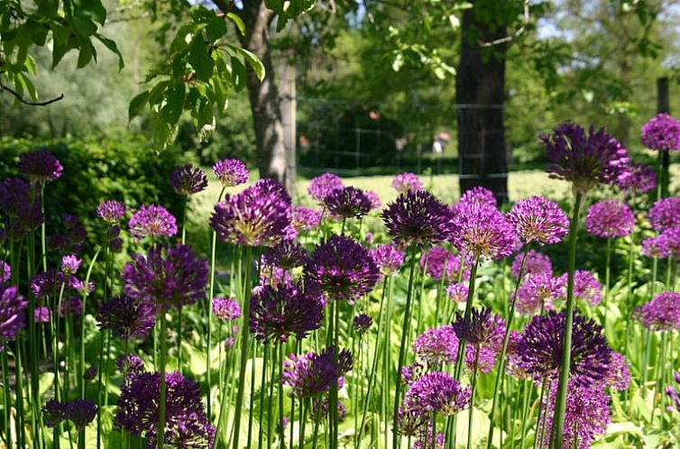 Vakantiehuis in Empe