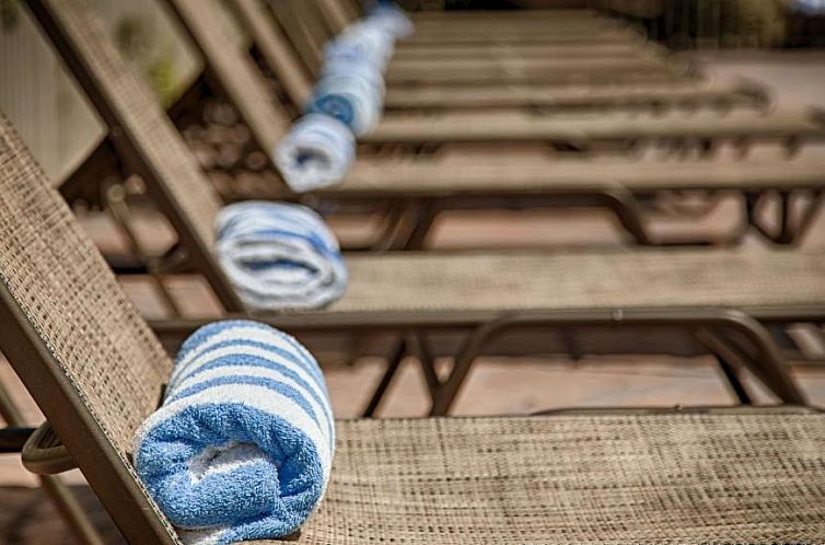 Best Western Plus University Inn