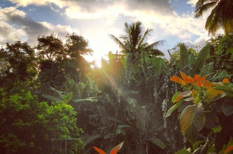 Heavenly Hana Paradise