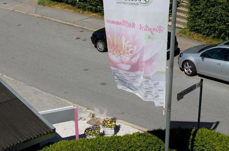Pension Vicus