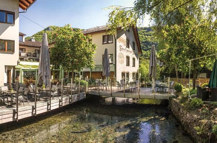 Guest house 30602001 - Apartment Baden-Württemberg - Forellenhof Rössle Hotel & Restaurant