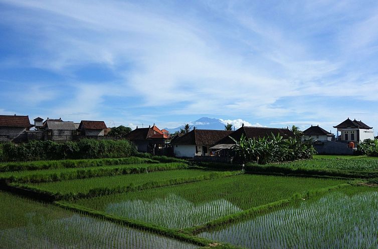 Appartement "Mangs Sawah View"