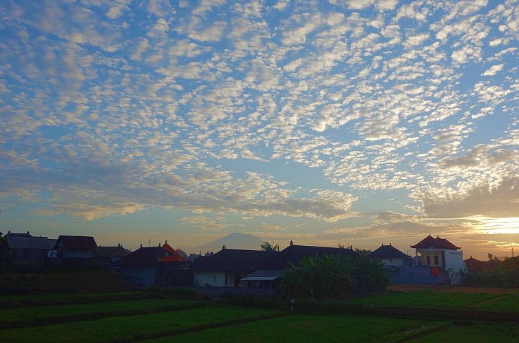 Appartement "Mangs Sawah View"