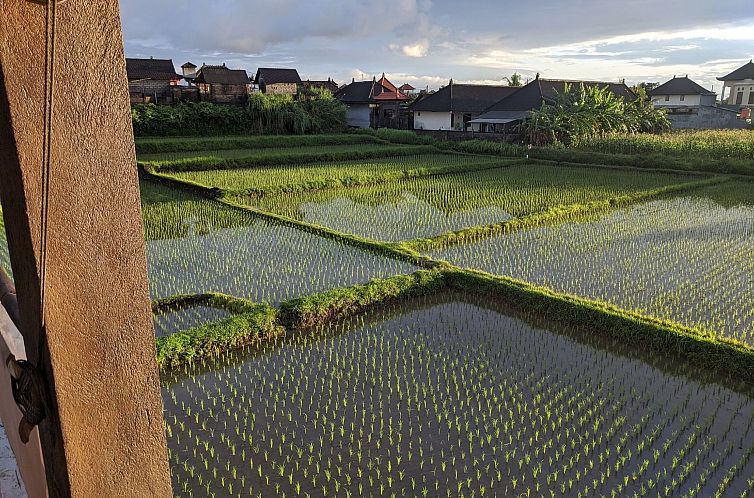 Appartement "Mangs Sawah View"