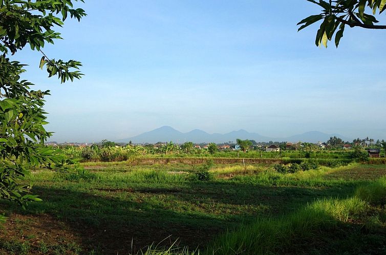 Appartement "Mangs Sawah View"