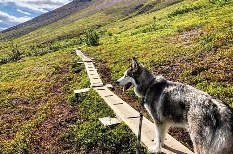Sonfjällsgårdens Wärdshus & Hotell
