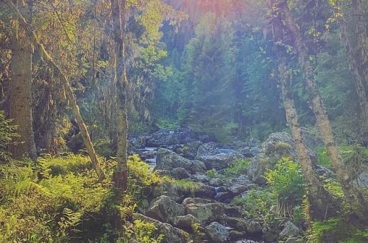 Sonfjällsgårdens Wärdshus & Hotell