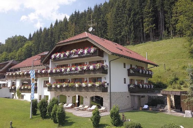 Hotel Blaue Gams ***S