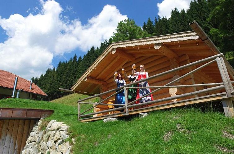 Hotel Blaue Gams ***S