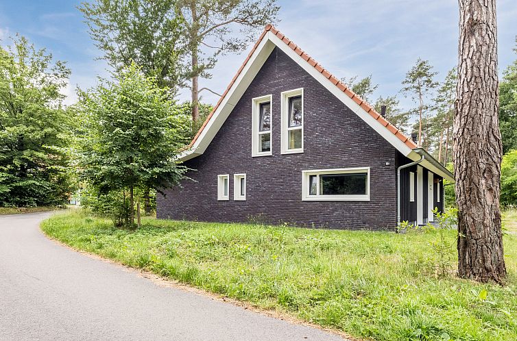 Heideheuvel | 12-persoons bungalow | 12L2